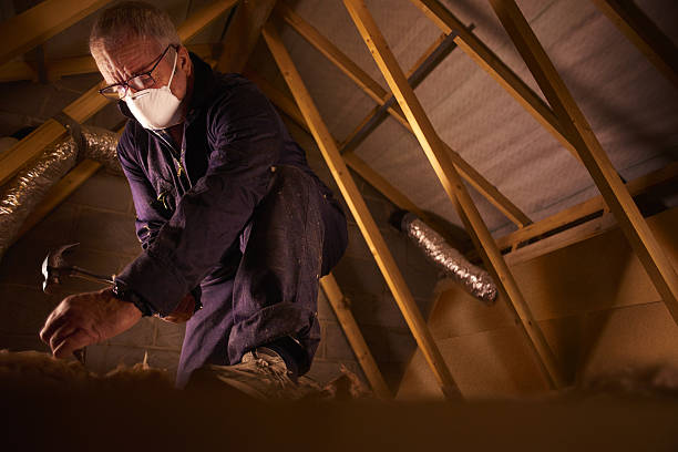 Best Insulation Maintenance and Repair in Worth, IL